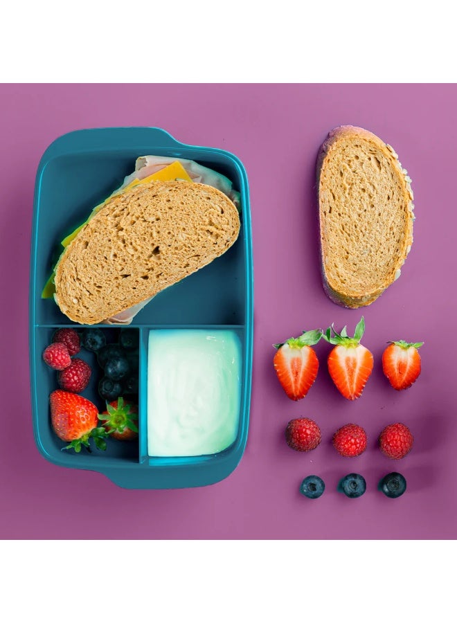 توبروير علبة للسندوتشات مقسمة 1 لتر - Image 3